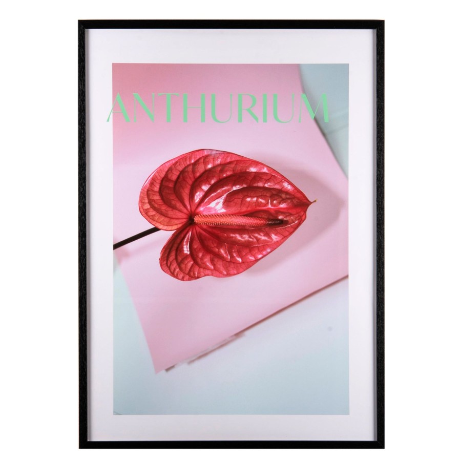 Home Scandiboom Kunstner Plakater | Kunstner Plakat Anthurium
